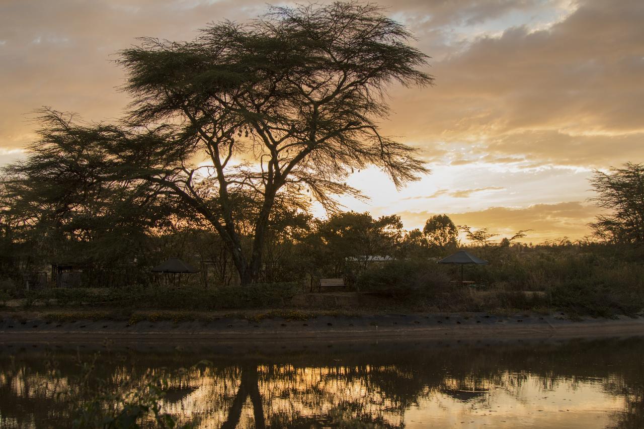 Ziwa Bush Lodge Νακούρου Εξωτερικό φωτογραφία